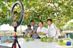 40岁创业直播项目 40岁开直播能成网红吗