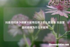 抖音月付多少额度不能用花呗了怎么套出来 抖音里面的额度为什么不能用