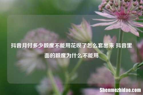抖音月付多少额度不能用花呗了怎么套出来 抖音里面的额度为什么不能用