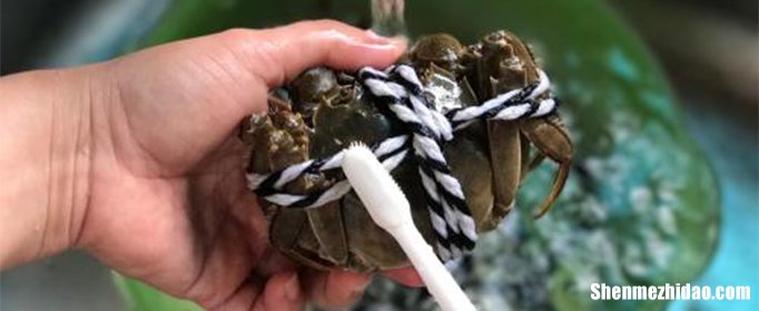 蟹钳上的毛怎么去除 蟹钳上的毛怎么去除干净