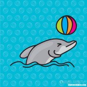 海豚玩的球是什么球 海豚玩的球是什么球体
