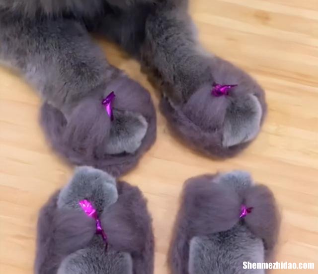 猫毛怎么做成毛线 猫毛怎样做成毛线球
