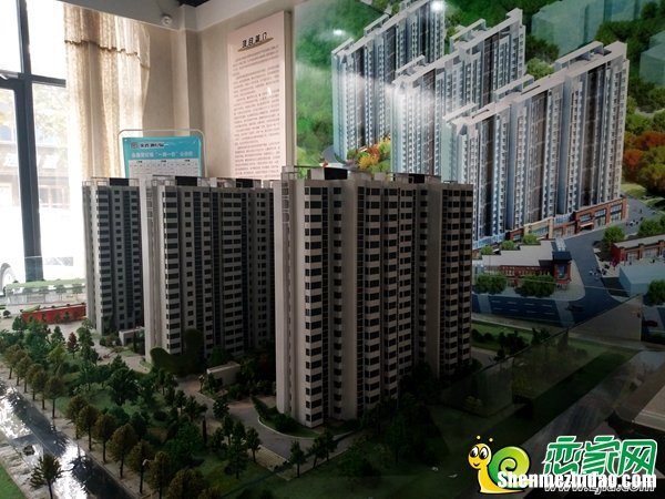 金鑫国际房子怎么样 金鑫国际房子怎么样啊