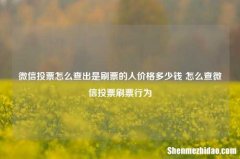 微信投票怎么查出是刷票的人价格多少钱 怎么查微信投票刷票行为