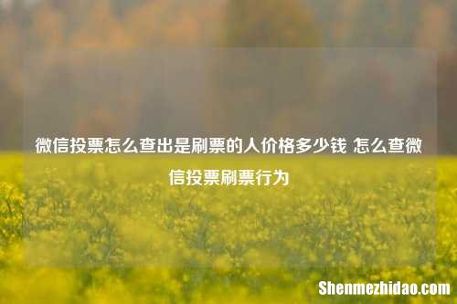 微信投票怎么查出是刷票的人价格多少钱 怎么查微信投票刷票行为
