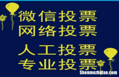 宁夏微信人工投票价格刷票多少钱 宁夏微信人工投票价格刷票多少钱啊