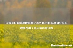 抖音月付临时额度到期了怎么套出来 抖音月付临时额度到期了怎么套出来还款