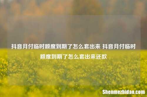 抖音月付临时额度到期了怎么套出来 抖音月付临时额度到期了怎么套出来还款