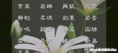 全国姓朵的有多少人 全国姓朵的有多少人啊