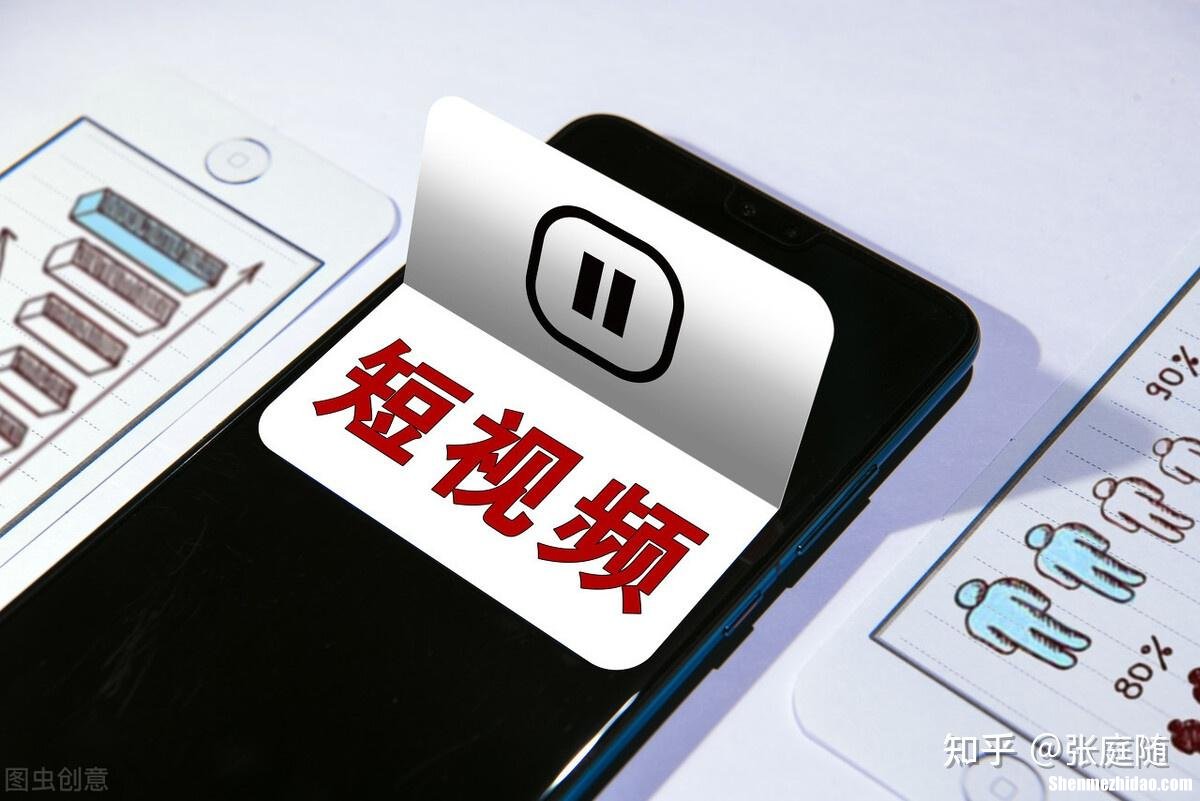短视频创业辛酸项目简介