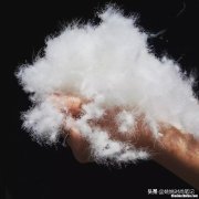 鸭绒比鹅绒怎么辩别 鸭绒与鹅绒的区别真的很大,内行人告诉你,来