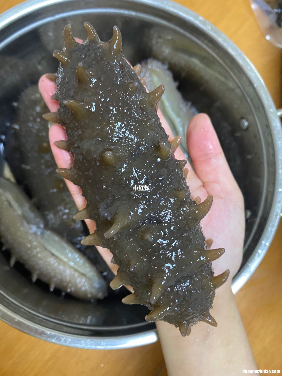 海参煮太硬怎么办 海参煮的有点硬还能重煮吗?