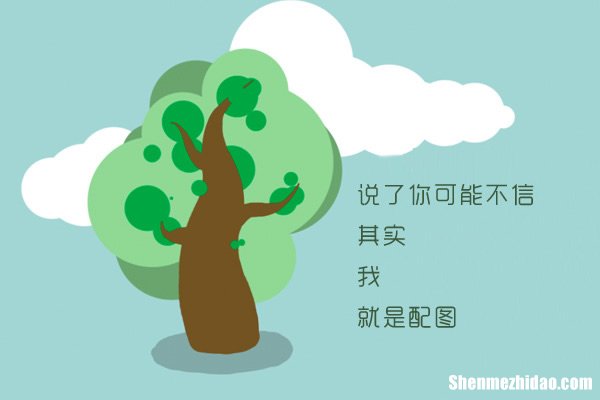 关雎尔谢滨为什么分手 关雎尔为什么和谢童分手