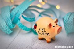 属猪人幸运号是多少钱 属猪的幸运号码是什么幸运数字