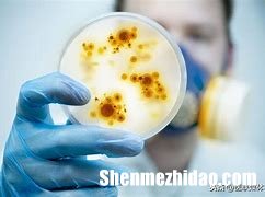 传单病多久痊愈 传单病痊愈多久能上学
