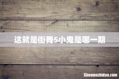 这就是街舞5小鬼是哪一期