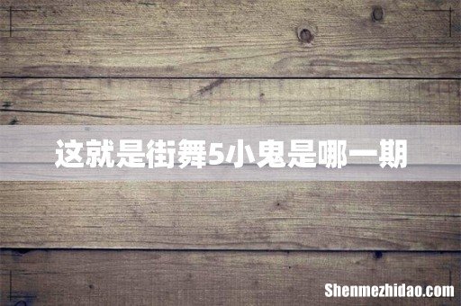 这就是街舞5小鬼是哪一期