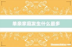 单亲家庭发生什么最多