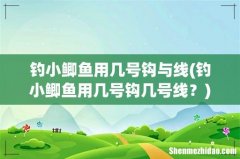 钓小鲫鱼用几号钩几号线？ 钓小鲫鱼用几号钩与线