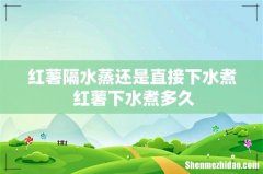 红薯隔水蒸还是直接下水煮 红薯下水煮多久