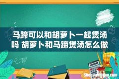 马蹄可以和胡萝卜一起煲汤吗 胡萝卜和马蹄煲汤怎么做好吃