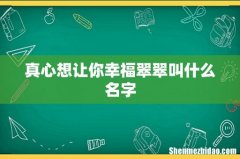 真心想让你幸福翠翠叫什么名字