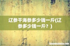 辽参多少钱一斤？ 辽参干海参多少钱一斤