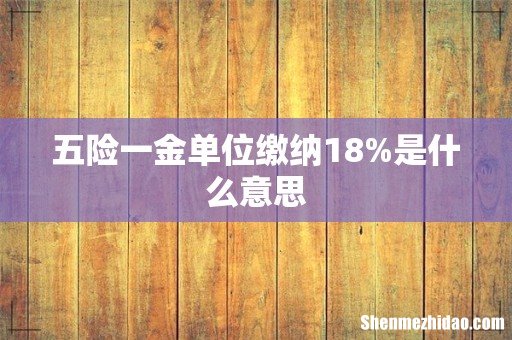 五险一金单位缴纳18%是什么意思
