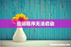 应运程序无法启动