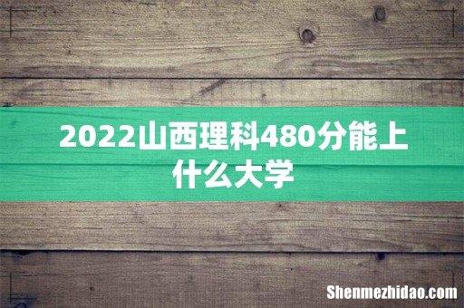 2022山西理科480分能上什么大学