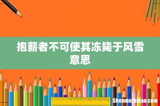 抱薪者不可使其冻毙于风雪意思