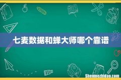 七麦数据和蝉大师哪个靠谱
