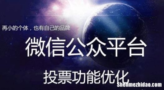 福建微信投票价格怎么收费刷票多少钱