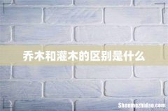 乔木和灌木的区别是什么