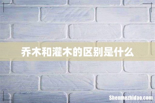 乔木和灌木的区别是什么