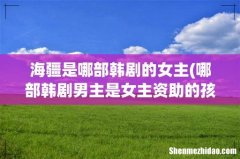 哪部韩剧男主是女主资助的孩子，长大后成了律师，女主丈夫跳伞而死，男主为女主报仇？ 海