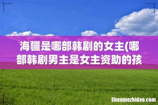 哪部韩剧男主是女主资助的孩子,长大后成了律师,女主丈夫跳伞而死,男主为女主报仇? 海疆是哪部韩剧的女主