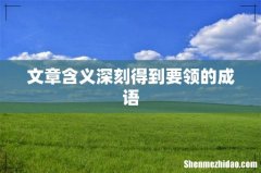 文章含义深刻得到要领的成语