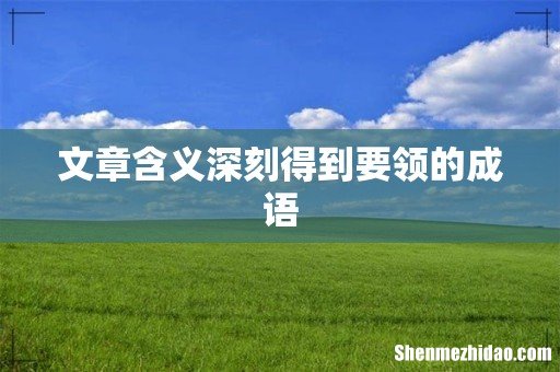 文章含义深刻得到要领的成语