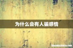 为什么会有人骗感情