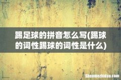 踢球的词性踢球的词性是什么 踢足球的拼音怎么写