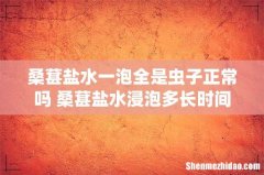 桑葚盐水一泡全是虫子正常吗 桑葚盐水浸泡多长时间