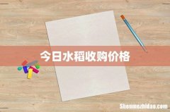 今日水稻收购价格