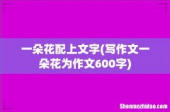 写作文一朵花为作文600字 一朵花配上文字