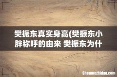 樊振东小胖称呼的由来 樊振东为什么叫小胖 樊振东真实身高