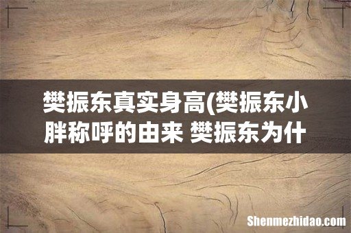 樊振东小胖称呼的由来 樊振东为什么叫小胖 樊振东真实身高