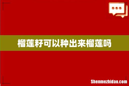 榴莲籽可以种出来榴莲吗