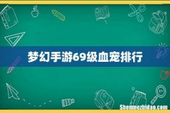 梦幻手游69级血宠排行