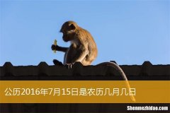 1994年6月15阳历是多少 1994年6月15日阳历是多少