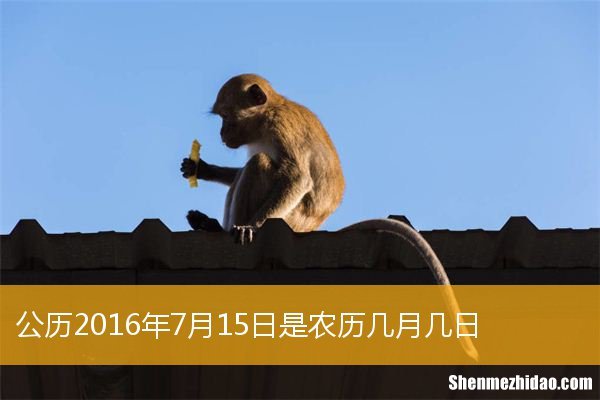 1994年6月15阳历是多少 1994年6月15日阳历是多少